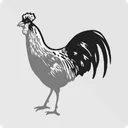 Mongol National Organization